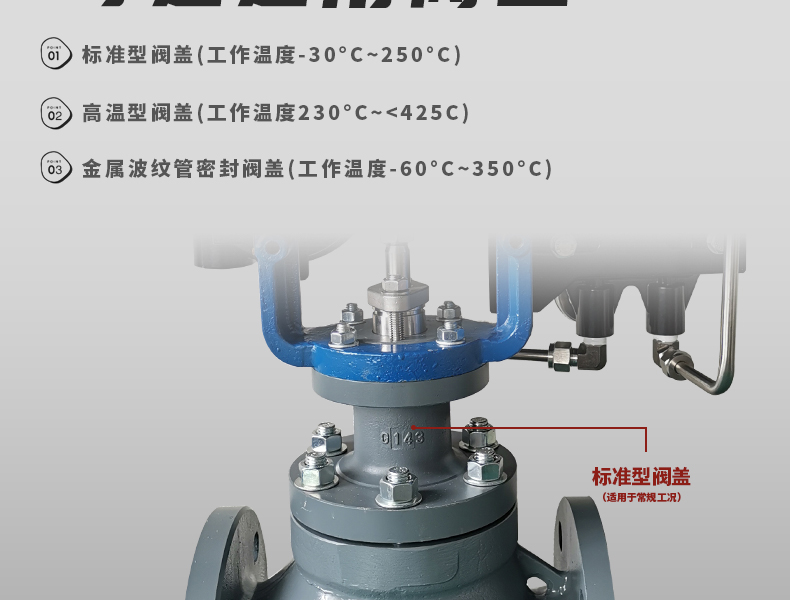 氣動籠式調節閥-首龍_14.jpg